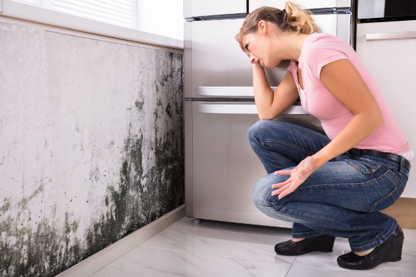 Mold Remediation San Francisco